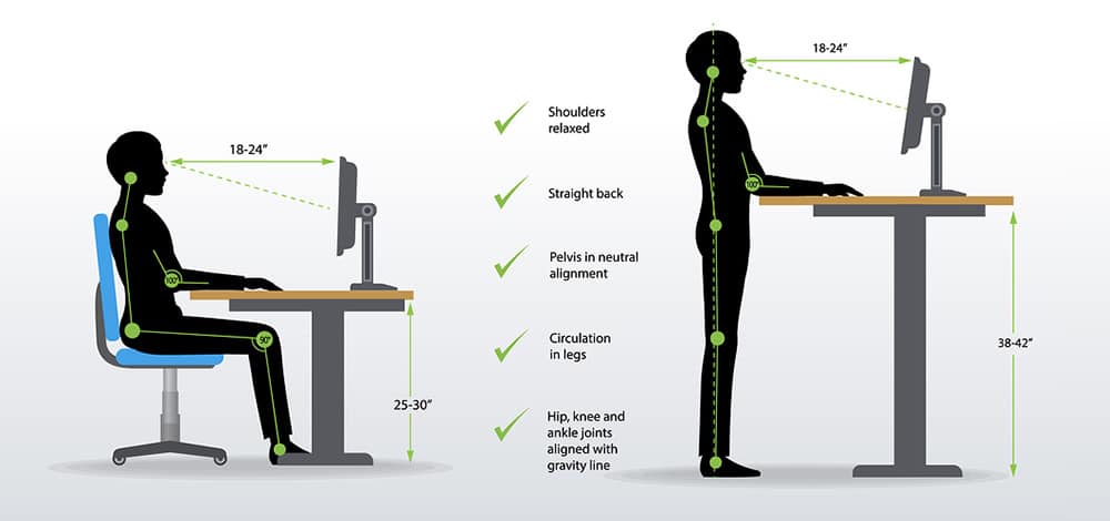 The Ergonomic Workstation & Desk Ergonomics - PTandMe